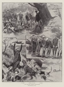 Ein Tag mit den Culmstock Otterhunden