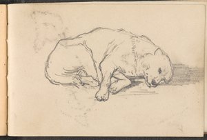 Skizze eines schlafenden Hundes, ca. 1879 von William Barnes Wollen