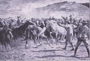 Die Gefangennahme der Pferde im Brandwater-Distrikt bei Fouriesburg: Einfangen der Herde, Illustration aus After Pretoria: The Guerilla War, 1902 von William Barnes Wollen