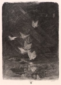 Nachtfalter