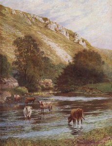 Am Wye, Upper Dale Farm, Monsal Dale von William Biscombe Gardner