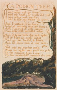 Lieder der Unschuld und der Erfahrung, Platte 41, "Ein Giftbaum" (Bentley 49)