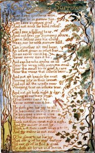 Über das Leid eines anderen: Platte 27 aus Songs of Innocence and of Experience (Kopie AA)