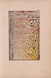 Lieder der Unschuld und der Erfahrung, Tafel 28, Über fremdes Leid (Bentley 27)