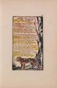 Lieder der Unschuld und der Erfahrung, Tafel 36, Der Tiger (Bentley 42) von William Blake