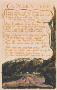 Lieder der Unschuld und der Erfahrung, Tafel 41, Ein Giftbaum (Bentley 49)