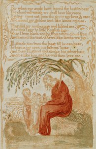Der kleine schwarze Junge, aus Songs of Innocence von William Blake