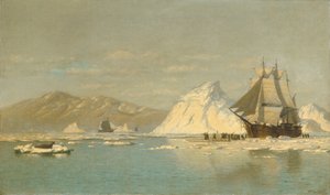 Vor Grönland—Walfänger sucht offenes Wasser