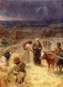 König David kauft die Tenne - Bibel von William Brassey Hole