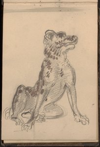 Porträt eines Hundes von William Brockedon