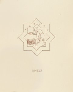 Stint, 1878