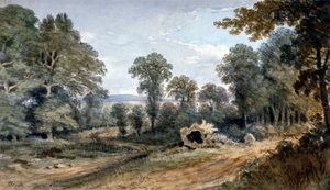 Ansicht von Bayswater Hill, London, 1803