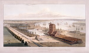 Brunswick Dock und East India Dock, Poplar, London, 1803 von William Daniell