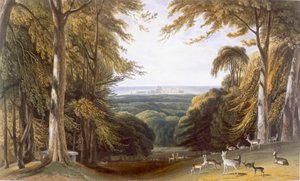 Schlucht im Windsor Park nahe Bishops Gate, ca. 1827-30