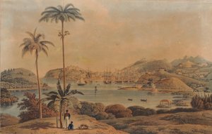 Ansicht der Stadt St. George und Richmond Heights auf der Insel Grenada, vom Bay aus gesehen von Lieutenant Colonel Wilson, 1819 von William Daniell