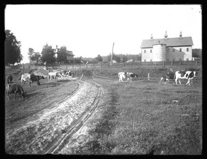 Die McCready-Farm-Scheune und das Thomas-Wohnhaus, Pennsylvania, ca. 1913 von William Davis Hassler