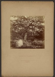 Wald von Fontainebleau von William Drooke Harrison