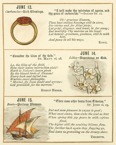 Seite aus dem Bibel-Emblem-Jubiläumsbuch von William Foster
