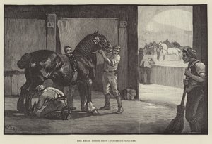 Die Shire Horse Show, letzte Handgriffe von William Frank Calderon