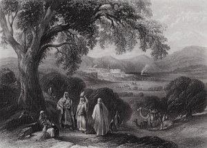Tal von Nazareth (Gravur) von William H. Bartlett