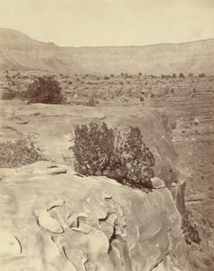 Plateau, nördlich des Grand Canyon