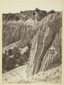 Regenskulptur, Salt Creek Canyon, Utah von William H. Bell