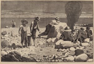 Skizzen am Meer - Ein Muschelbacken von William H. Redding after Winslow Homer