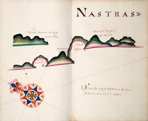 Nastras, südamerikanische Pazifikküste