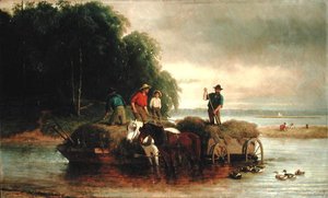 Schilf sammeln, Shrewsbury River, New Jersey