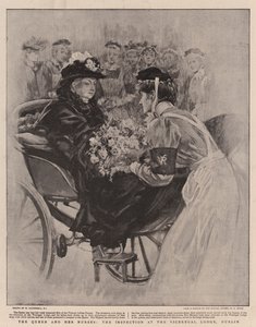 Die Königin und ihre Krankenschwestern, die Inspektion in der Vizeköniglichen Lodge, Dublin