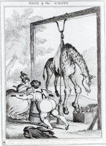 Zustand der Giraffe, 1829 von William Heath