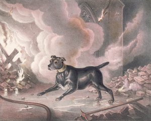 Der Londoner Feuerwehrhund von William Heath