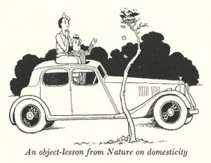 Eine Lektion aus der Natur über Häuslichkeit (Litho) von William Heath Robinson