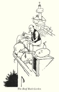 Der Dach-Felsengarten (Lithografie) von William Heath Robinson