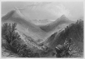 Glen of the Downs von William Henry (after) Bartlett