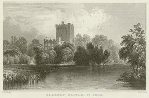 Blarney Castle in County Cork von William Henry Bartlett