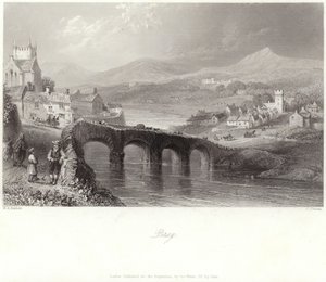 Bray in der Grafschaft Wicklow von William Henry Bartlett
