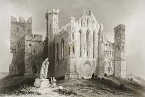 Der Felsen von Cashel, County Tipperary, Irland, aus 