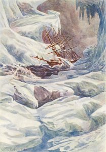 Illustration für Die Welt des Eises oder die Walfangreise der Dolphin von William Henry Charles Groome