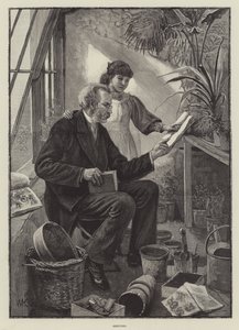 Saatzeit