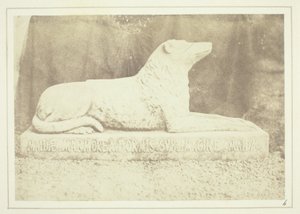 Abbild von Sir W. Scotts Lieblingshund Maida, neben der Haustür in Abbotsford von William Henry Fox Talbot
