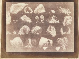 Das Schaufenster der Modistin von William Henry Fox Talbot
