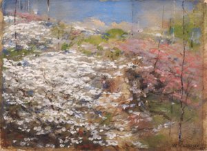 Blumenfeld von William Henry Holmes