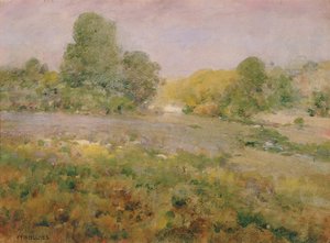 Feld mit buntem Gras im Spätsommer in den Virginia Hills, n.d. von William Henry Holmes