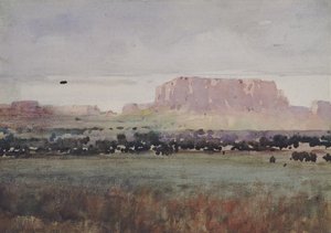 Im Plateau-Land, Colorado von William Henry Holmes