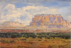 Der verzauberte Mesa