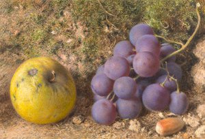 Apfel, Trauben und eine Haselnuss