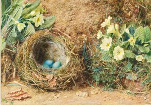 Vogelnest mit drei blauen Eiern und Primeln von William Henry Hunt