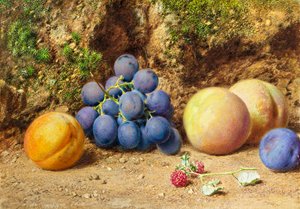 Schwarze Trauben, Pfirsiche, Aprikosen und Himbeeren, ca. 1860