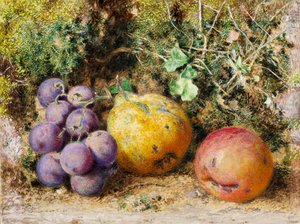 Schwarze Trauben, Quitte und Newtown Pippin, 1861